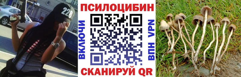 Купить закладки  Заволжье  Псилоцибиновые грибы ЛСД 